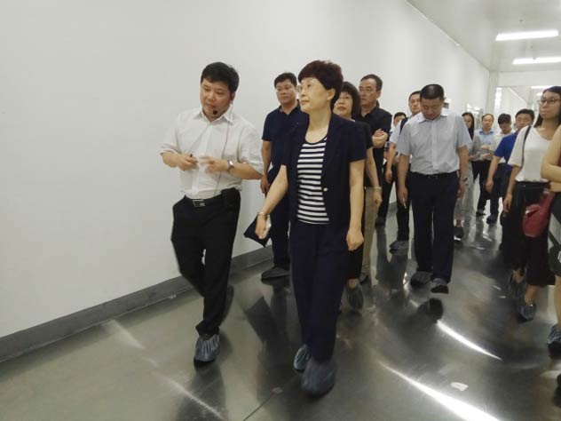 工信部装备司王瑞华副司长一行考察微宏动力智