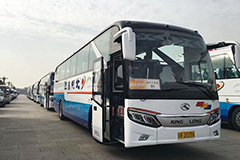 新龙威煜煜生辉